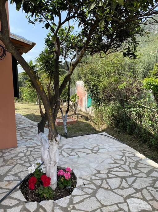 Casa Piccolino Βίλα Παραμόνας Εξωτερικό φωτογραφία